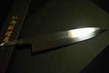 Japanese Chef Knife Yoshikazu Ikeda Blue2 Honyaki Gyuto 240mm Mirror Blade Only