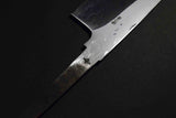 Japanese Chef Knife *Keijiro Doi* Blue 2 Kamagata Usuba 210mm from Japan *F/S*