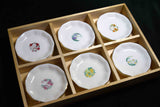 Japanese Chiso Hinakosode small Kozara plate 12pcs set w/ wooden box Kyoto 115