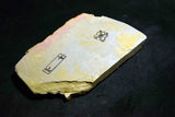 Japanese Natural Whetstone Shohonyama Nakayama Iromono 535g Lv. 4.5+ Kyoto Japan