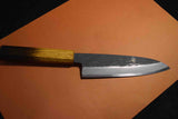 Japanese Chef Knives Itsuo Doi Blue 2 Black Tsuchime Funayuki 170mm-190mm