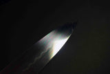 Japanese Chef Knife Yoshikazu Ikeda Blue2 Honyaki Gyuto 240mm Mirror Blade Only