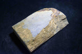 Japanese Natural Whetstone Shohonyama  Shobudani Hard Asagi 712g for razor *F/S*