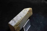 Japanese Natural Whetstone Shohonyama  Shobudani Hard Asagi 712g for razor *F/S*