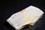 ●Japanese Natural Whetstone Hideriyama Renge Suita 1605g from Kyoto F/S 5.10
