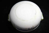 ●Japanese Bizan Kiln Banko Ware Donabe Japanese Hot Pot Autumn Motif Lidded Clay Pot 153- 5.18