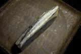 ●Japanese Natural Whetstone Shohonyama Aiiwatani Karasu 706g from Kyoto 6.06