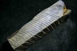 ●Japanese Natural Whetstone Shohonyama Kozaki *Hard* Aoto 1885g from Kyoto Japan 5.30