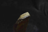 ●Japanese Natural Whetstone Nakayama Asagi 501g Grit #10000 Lv.4.5 Kyoto Japan *F/S 6.06