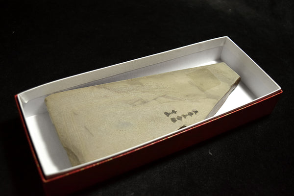 ●Japanese Natural Whetstone Nakayama Kurumaguchi Hachimai Daigokujo 425g from Japan 7.11