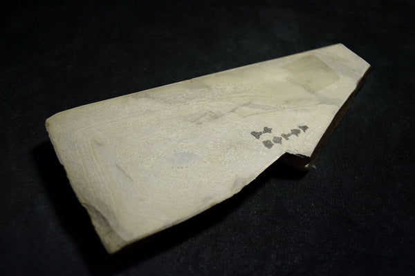 ●Japanese Natural Whetstone Nakayama Kurumaguchi Hachimai Daigokujo 425g from Japan 7.11