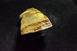 ●Japanese Natural Whetstone Nakayama Kurumaguchi Hachimai Daigokujo 425g from Japan 7.11