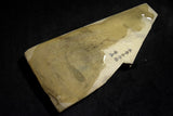 ●Japanese Natural Whetstone Nakayama Kurumaguchi Hachimai Daigokujo 425g from Japan 7.11