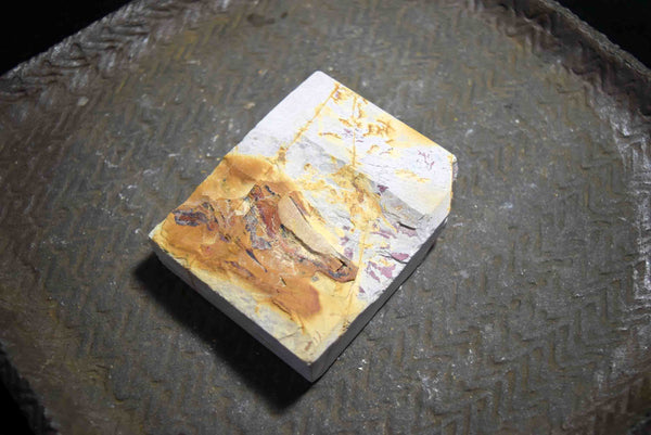 ●Japanese Natural Whetstone Small Hideriyama Renge Suita 329g from Kyoto 8.01
