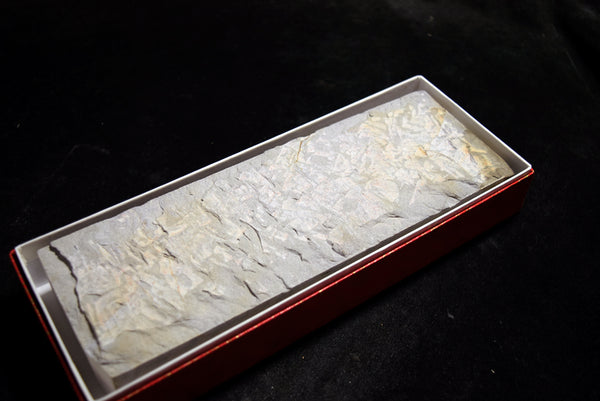 ●Japanese Natural Whetstone Ohira *Uchigumori* Haze Renge 994g  Kyoto 8.01