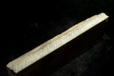 ●Japanese Natural Whetstone Ozuku Tomae 30' Size 1168g Lv4.5+ from Kyoto 8.15
