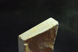●Japanese Natural Whetstone Shohonyama Shinden Shiro (White) Suita Renge 24' Size 877g 8.15