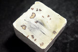●Japanese Natural Whetstone *Rare* Gujyo Nagura 144g Gifu Pref. 8.22
