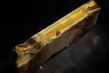 Japanese Natural Whetstone Shohonyama Umegahata Asagi 845g