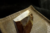 ●Japanese Natural Whetstone Shohonyama Nakayama Asagi 691g #10000 9.12