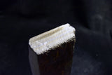 ●Japanese Natural Whetstone Ozuku #10000 Finishing Stone 1333g Lv.5.0 Kyoto 10.10