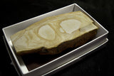 ●Japanese Natural Whetstone *Rare* Okikunomatsu from Osaka Japan 9.19