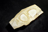 ●Japanese Natural Whetstone *Rare* Okikunomatsu from Osaka Japan 9.19