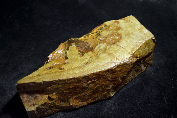 ●Japanese Natural Whetstone *Rare* Okikunomatsu from Osaka Japan 9.19