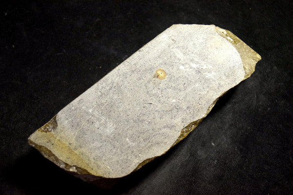●Japanese Natural Whetstone *Rare* Awashima 1604g from Wakayama Pref. Japan 9.19