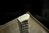 ●*Rare* Japanese Natural Whetstone Kozuke-to Grit #1500 513g from Gunma Pref. 9.26