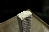 ●*Rare* Japanese Natural Whetstone Kozuke-to Grit #1500 596g from Gunma Pref. 9.26