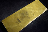 ●Japanese Natural Whetstone *Rare* Takao Shiki Tomae Asagi 965g Kyoto  9.19