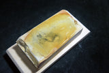 ●Japanese Natural Whetstone Shohonyama Shinden Shiro Suita 794g 10.17