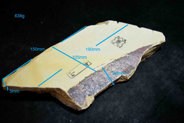 ●Japanese Natural Whetstone Nakayama Kiita 638g Grit #10000 Lv.4.5 Kyoto Japan *F/S 4.20