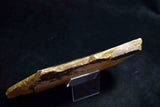 ●Japanese Natural Whetstone Nakayama Kiita 638g Grit #10000 Lv.4.5 Kyoto Japan *F/S 4.20