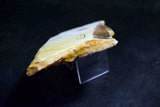 ●Japanese Natural Whetstone Nakayama Kiita 638g Grit #10000 Lv.4.5 Kyoto Japan *F/S 4.20