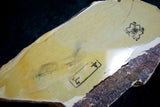 ●Japanese Natural Whetstone Nakayama Kiita 638g Grit #10000 Lv.4.5 Kyoto Japan *F/S 4.20