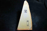 ●Japanese Natural Whetstone Nakayama Kiita 547g Grit #10000 Lv.4.5 Kyoto Japan *F/S 4.20