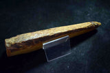 ●Japanese Natural Whetstone Nakayama Kiita 547g Grit #10000 Lv.4.5 Kyoto Japan *F/S 4.20