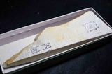 ●Japanese Natural Whetstone Ozuku Mizu Asagi *Soft* 515g Lv.4.0 #10000 Kyoto *F/S* 4.04