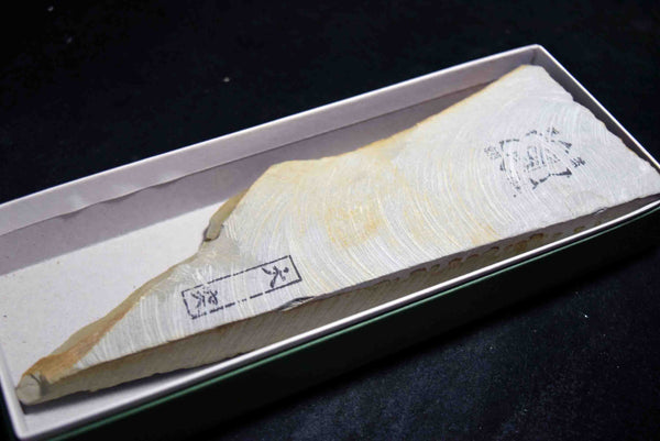 ●Japanese Natural Whetstone Ozuku Mizu Asagi *Soft* 515g Lv.4.0 #10000 Kyoto *F/S* 4.04