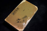 ●Japanese Natural Whetstone Shohonyama Aiiwatani Iromono 654g from Kyoto Japan 4.12