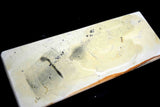 ●Japanese Natural Whetstone Mikawa Chu Nagura  1841g from Aichi Pref. Japan 4.26