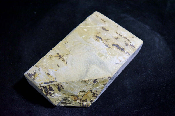 Japanese Natural Whetstone Shohonyama *Soft* Shobudani Tomae 780g Kyoto *F/S*(IF