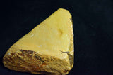 Japanese Natural Whetstone Shohonyama Momijiyama Tomae 951g Kyoto razor