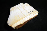 Natural Whetstone Hideriyama Renge Shiro (White) Suita 720g from Kyoto *F/S