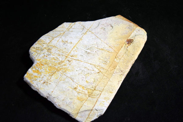 Natural Whetstone Hideriyama Renge Shiro (White) Suita 720g from Kyoto *F/S