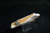 Natural Whetstone Hideriyama Renge Shiro (White) Suita 720g from Kyoto *F/S