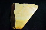 Japanese Natural Whetstone Nakayama Kiita Extra Fine Koppa Lv. 4.5 894g Kyoto