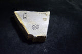 Japanese Natural Whetstone *Rare* Ozuku Asagi Extra Fine Koppa 761g Kyoto F/S